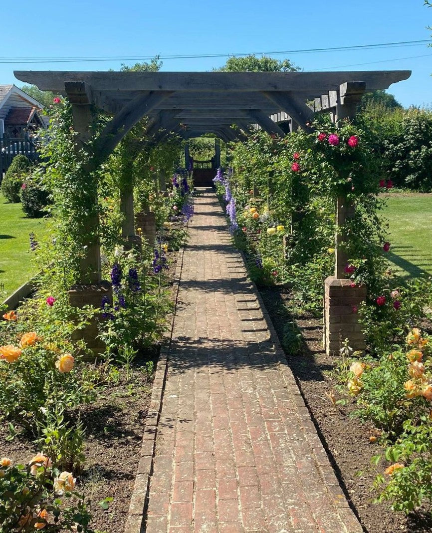 Oak pergola 2 years on