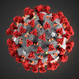 Corona Virus